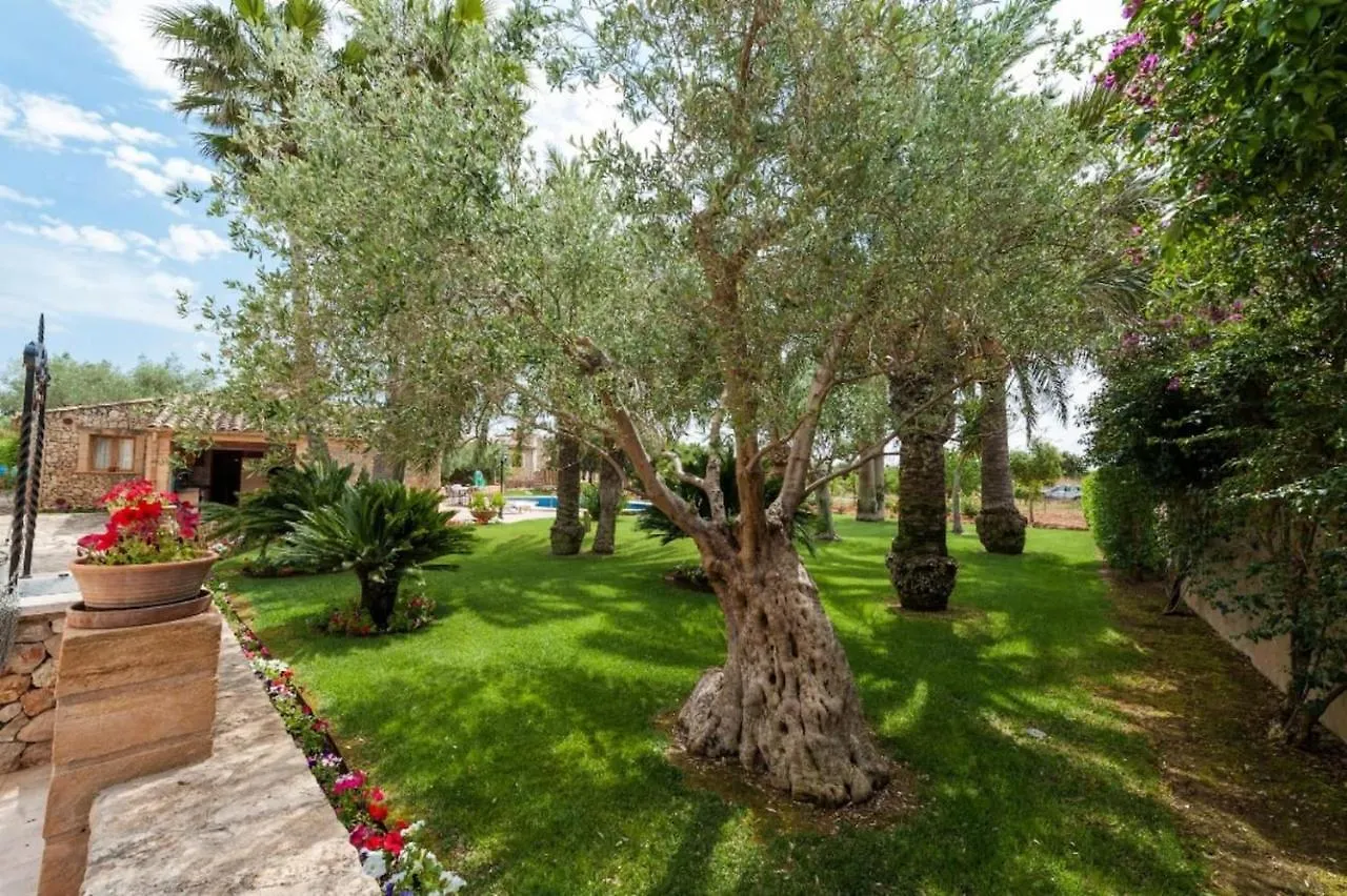 Villa Can Rovey Family 454 Инка